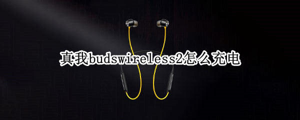 真我budswireless2怎么充电（真我buds air2怎么充电）