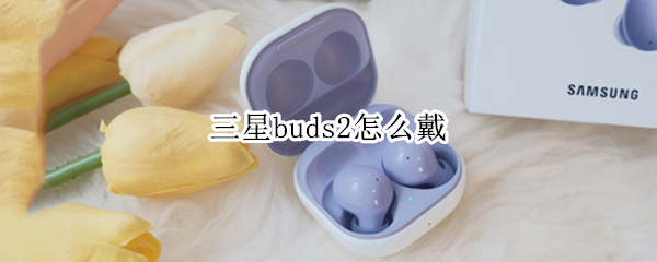 三星buds2怎么戴（三星buds+怎么戴）