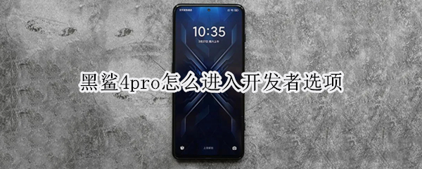黑鲨4pro怎么进入开发者选项 黑鲨4pro怎么进入开发者选项设置