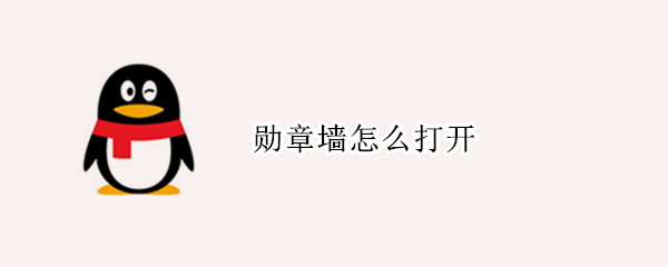 勋章墙怎么打开（勋章墙怎么打开B站）