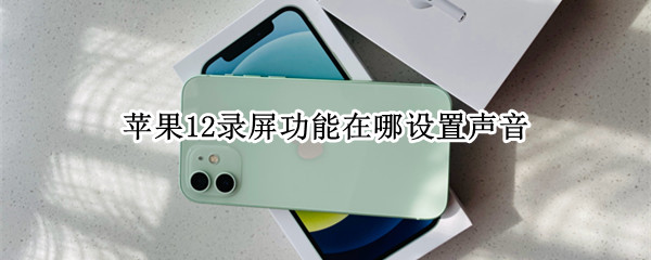 苹果12录屏功能在哪设置声音（苹果12录屏功能在哪设置声音大）