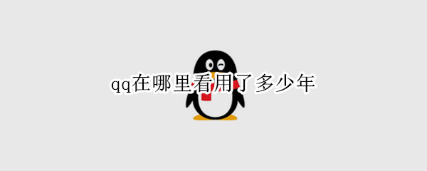 qq在哪里看用了多少年 qq在哪里看用了多少年了