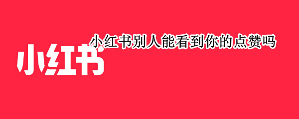 小红书别人能看到你的点赞吗（小红书别人可以看到我的点赞吗）