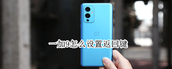 一加9怎么设置返回键 一加9怎么设置返回键图标