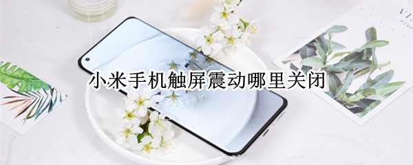小米手机触屏震动哪里关闭（小米手机触屏震动哪里关闭设置）