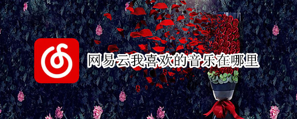网易云我喜欢的音乐在哪里（网易云我喜欢的音乐在哪里找）