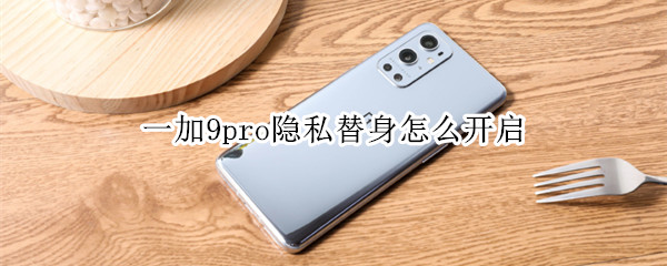 一加9pro隐私替身怎么开启（一加9pro隐藏）