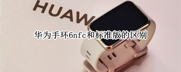 华为手环6nfc和标准版的区别（华为手环6nfc和标准版哪个好）