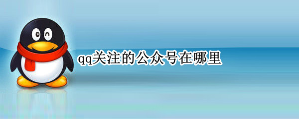 qq关注的公众号在哪里 qq关注的公众号在哪里查看
