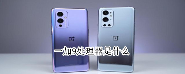 一加9处理器是什么（一加9处理器是什么型号）