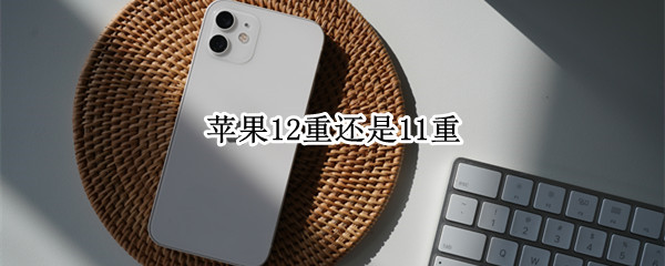 苹果12重还是11重 苹果12重还是11重?