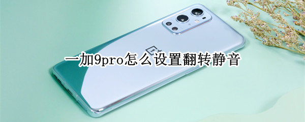 一加9pro怎么设置翻转静音 一加手机翻转静音