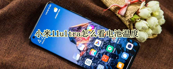 小米11ultra怎么看电池温度（小米11ultra电池状况）
