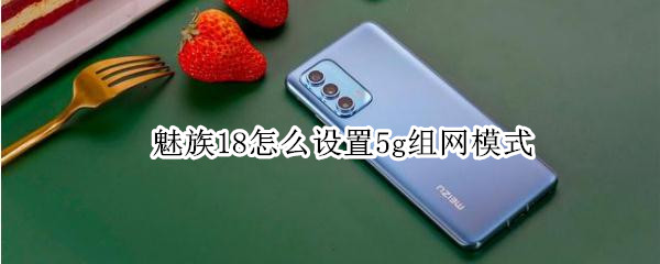 魅族18怎么设置5g组网模式（魅族18怎么开4g）