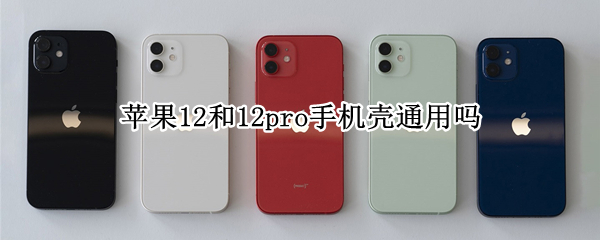苹果12和12pro手机壳通用吗（苹果11pro和12手机壳通用吗）