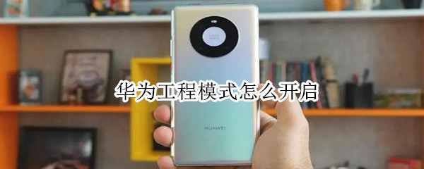 华为工程模式怎么开启（华为的工程模式怎么进）