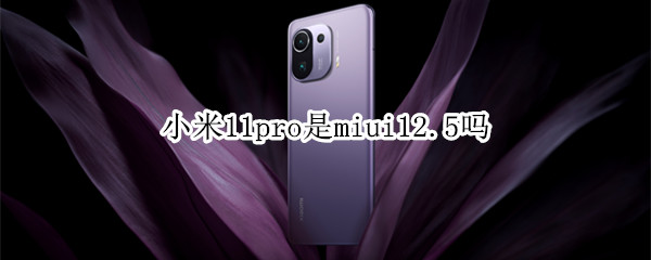小米11pro是miui12.5吗 小米11pro12.5.11是增强版吗