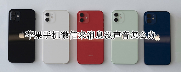 苹果手机微信来消息没声音怎么办（苹果手机微信来消息没声音怎么办丹东到凤城列车时刻表）