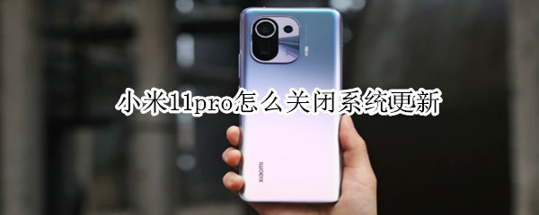 小米11pro怎么关闭系统更新 小米11pro怎么关闭系统更新通知