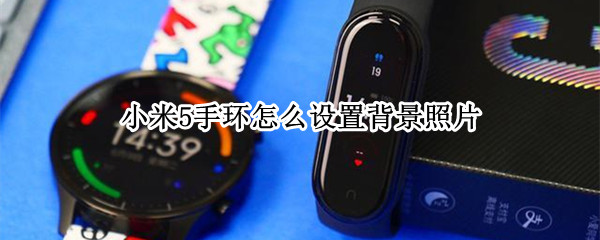小米5手环怎么设置背景照片（小米手环5怎么设置背景图）