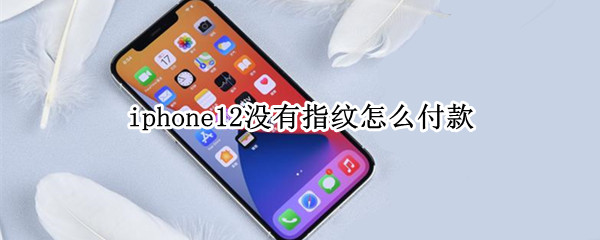 iphone12没有指纹怎么付款（iphone12无指纹解锁吗付款可以用指纹吗）