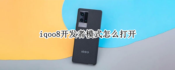 iqoo8开发者模式怎么打开 iqoo8pro怎么开启开发者模式