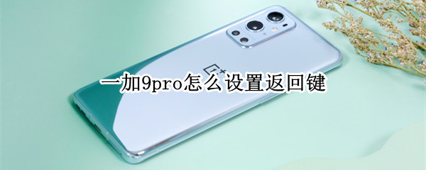 一加9pro怎么设置返回键 一加9pro怎么设置返回键图标