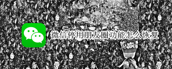 微信停用朋友圈功能怎么恢复（微信停用朋友圈功能怎么恢复聊天记录）