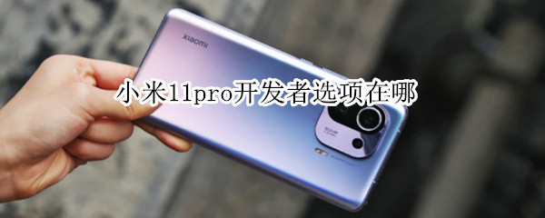 小米11pro开发者选项在哪 小米11pro开发者选项哪些需要关闭