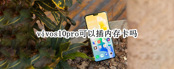 vivos10pro可以插内存卡吗（vivos10pro能装几张手机卡）