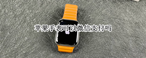 苹果手表可以微信支付吗（苹果手表可以微信支付吗现在）