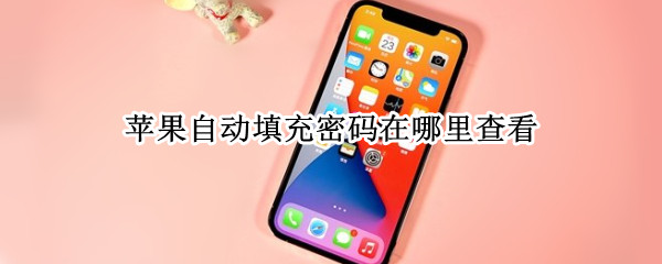 苹果自动填充密码在哪里查看（苹果手机密码自动填充在哪里）