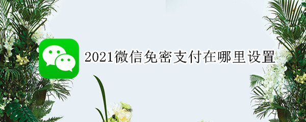 2021微信免密支付在哪里设置 微信免密支付在哪里设置开启