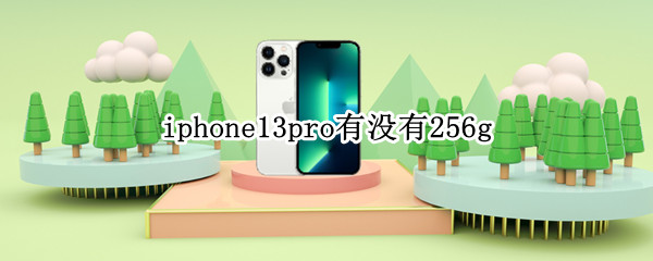 iphone13pro有没有256g（iphone13pro有没有256GB）