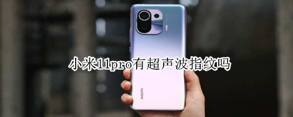 小米11pro有超声波指纹吗（小米11pro有超声波指纹吗）