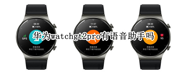 华为watchgt2pro支持语音助手吗 华为watch gt2 pro有语音助手吗