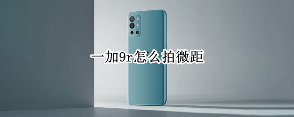 一加9r怎么拍微距（一加9拍摄技巧）
