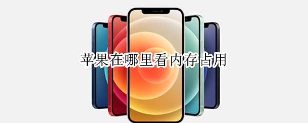 苹果在哪里看内存占用（苹果的内存占用在哪里看）