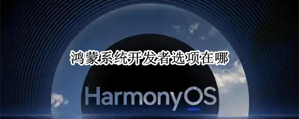鸿蒙系统开发者选项在哪 鸿蒙系统开发者选项在哪里