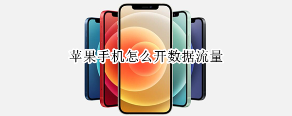 苹果手机怎么开数据流量 iphone开启蜂窝网络却无网络