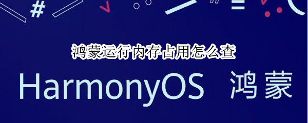 鸿蒙运行内存占用怎么查（查看鸿蒙占用内存）