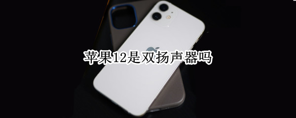 苹果12是双扬声器吗（苹果12双扬声器和苹果11）