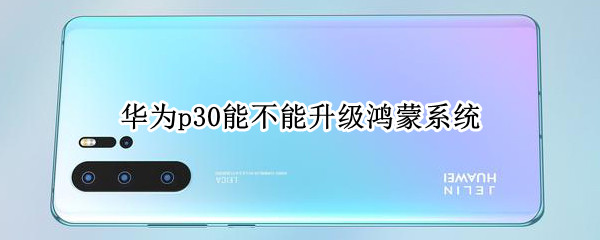 华为p30能不能升级鸿蒙系统（华为p30能不能升级鸿蒙系统）