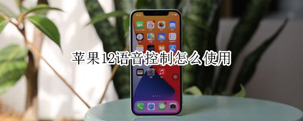 苹果12语音控制怎么使用（苹果语音控制怎么使用中文）