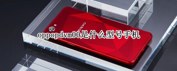 oppopdvm00是什么型号手机（oppopdvm00是什么型号手机多少钱）