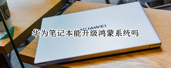华为笔记本能升级鸿蒙系统吗（华为笔记本能升级鸿蒙系统吗怎么升级）
