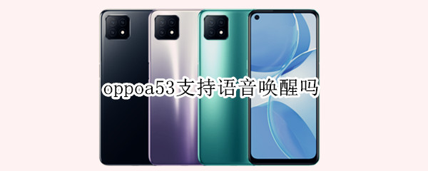 oppoa53支持语音唤醒吗（OPPOA5支持语音唤醒吗）