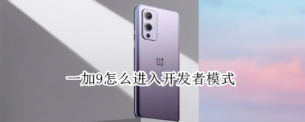 一加9怎么进入开发者模式 一加9怎么进入开发者模式设置