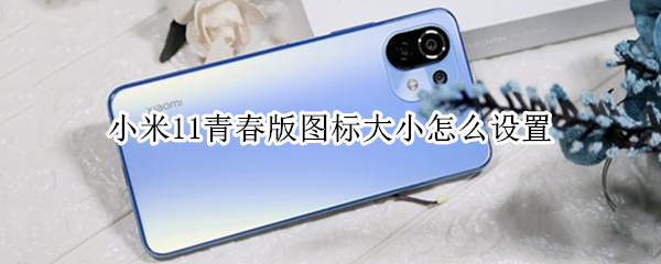 小米11青春版图标大小怎么设置（小米11青春版图标大小怎么设置不了）