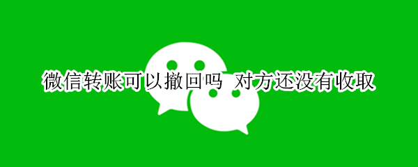 微信转账可以撤回吗（转账被骗24小时内能追回吗）